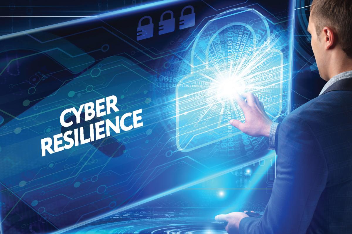 Cyber Resilience Assessment